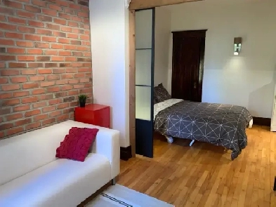 Immense 4 1/2 de 5 pièces idéal colocataire!