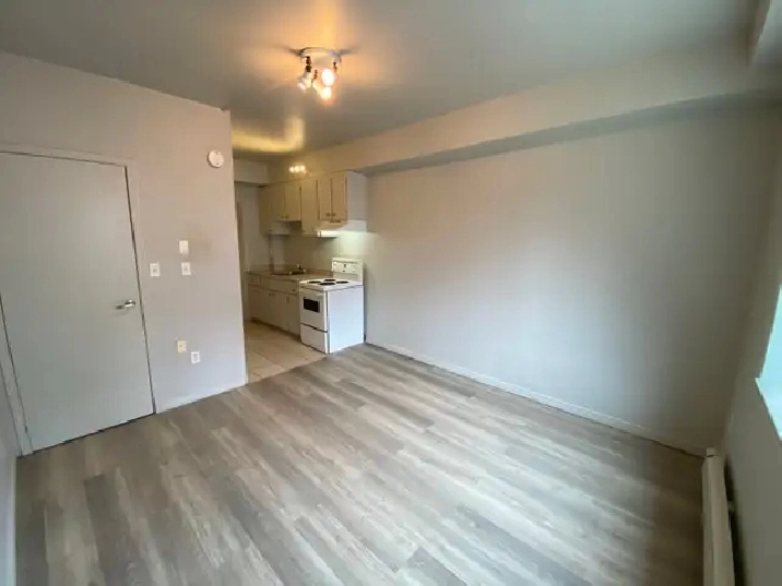 Studio Apartments in Durand and Corktown neighbourhoods