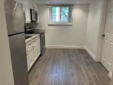 Leslieville Separate Entrance Renovated Basement Apartment
