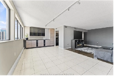 Spacious apartment for rent - great views of Detroit skyline!