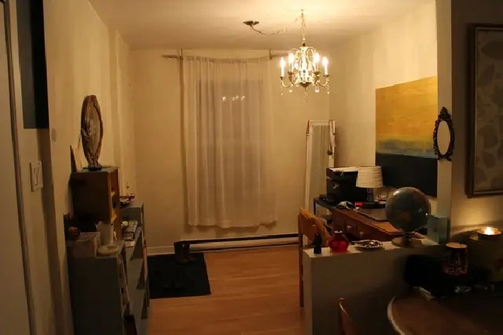 Photo 5