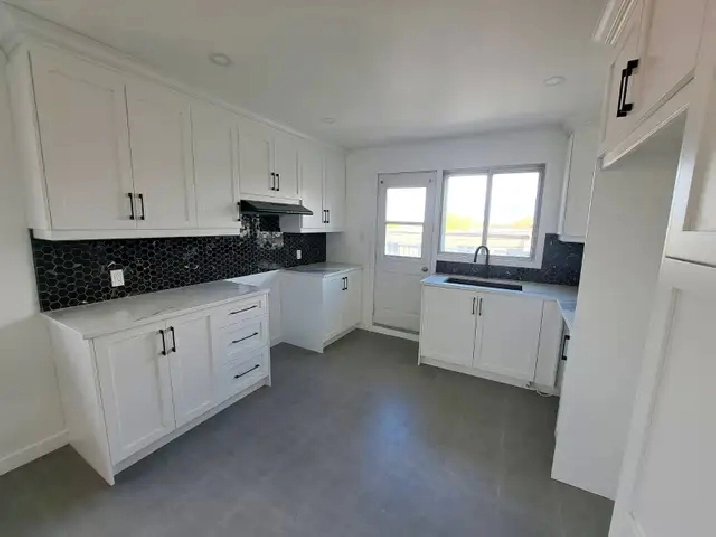 Grand 5 ½ rénové (Saint-Léonard/Montréal) (Triplex)