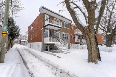 5 ½ à Hochelaga-Mercier disponible le 1er juillet !