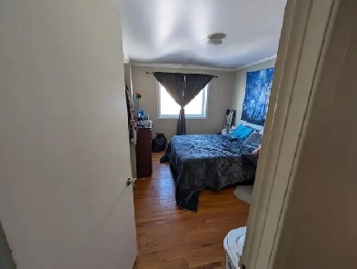 Grand 4 ½, 1465 Rue Beaumont,Longueuil, 1 Juillet. 2026