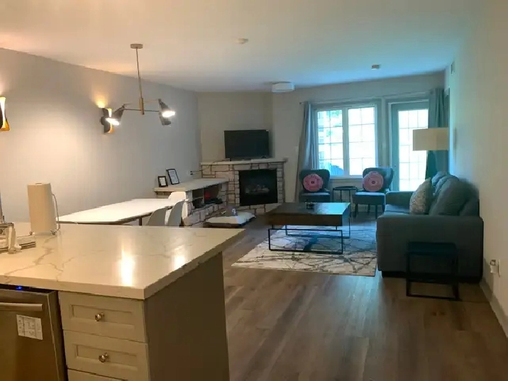 1 Bedroom Furnished Luxurious Apartment