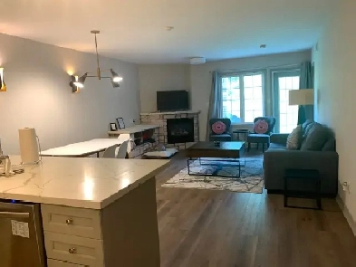 1 Bedroom Furnished Luxurious Apartment