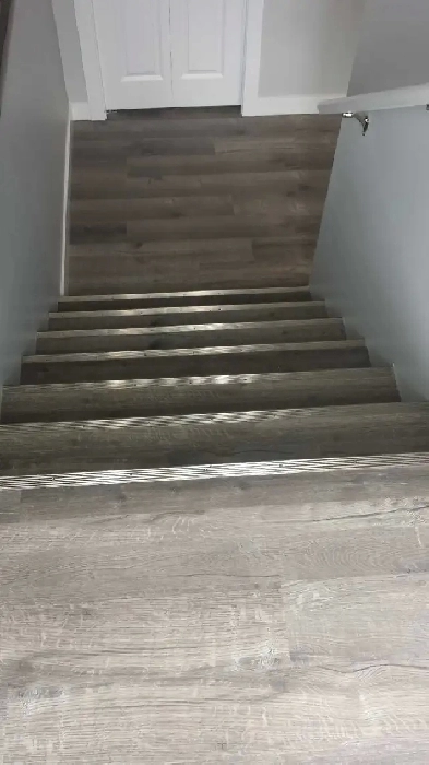 Basement suite for rent in Evergreen