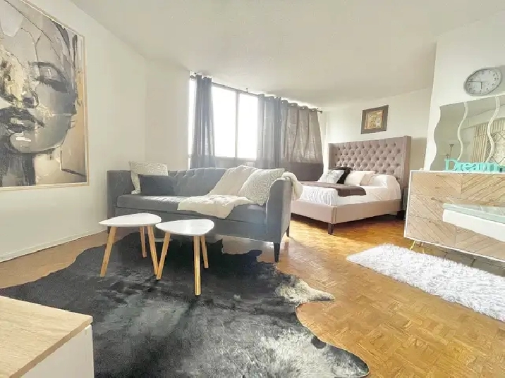 Furnish Studio/Loft Apartment Cable, Net, Utils Inc.