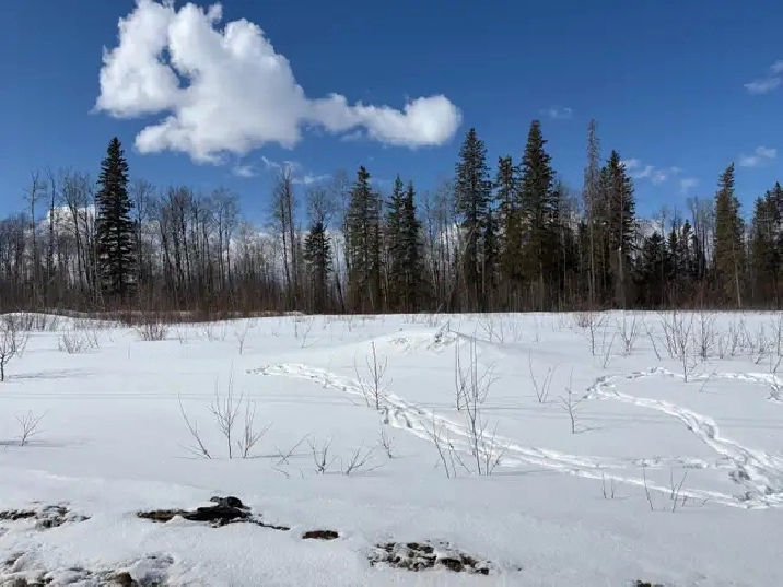 Commercial Lot/Acreage/Land for Sale