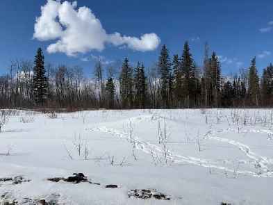 Commercial Lot/Acreage/Land for Sale