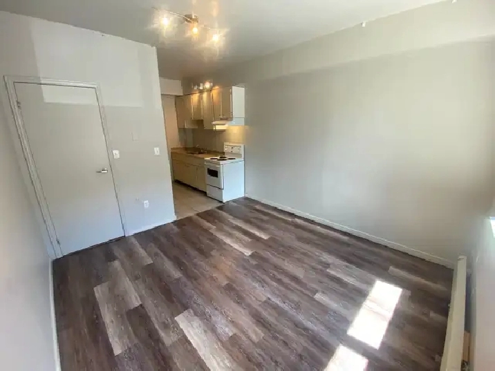 Bachelor Apartment in Durand Neighbourhood