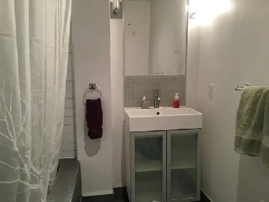4 Bedroom… De Lorimier….Private Backyard
