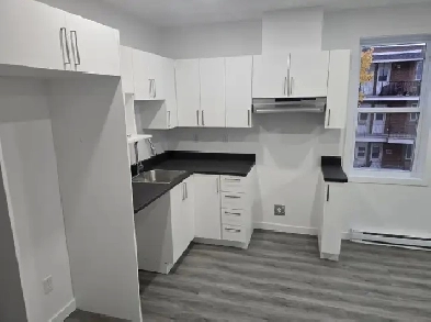 appartement à louer au Plateau Montreal
