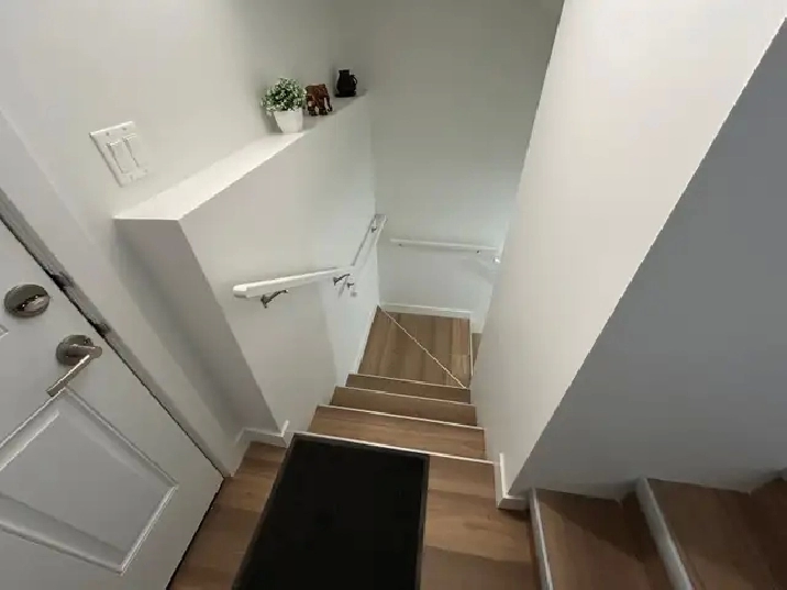 Basement for rent