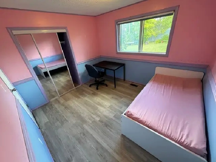 Photo 5