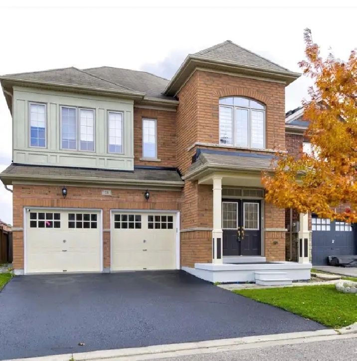 Brampton basement for rent