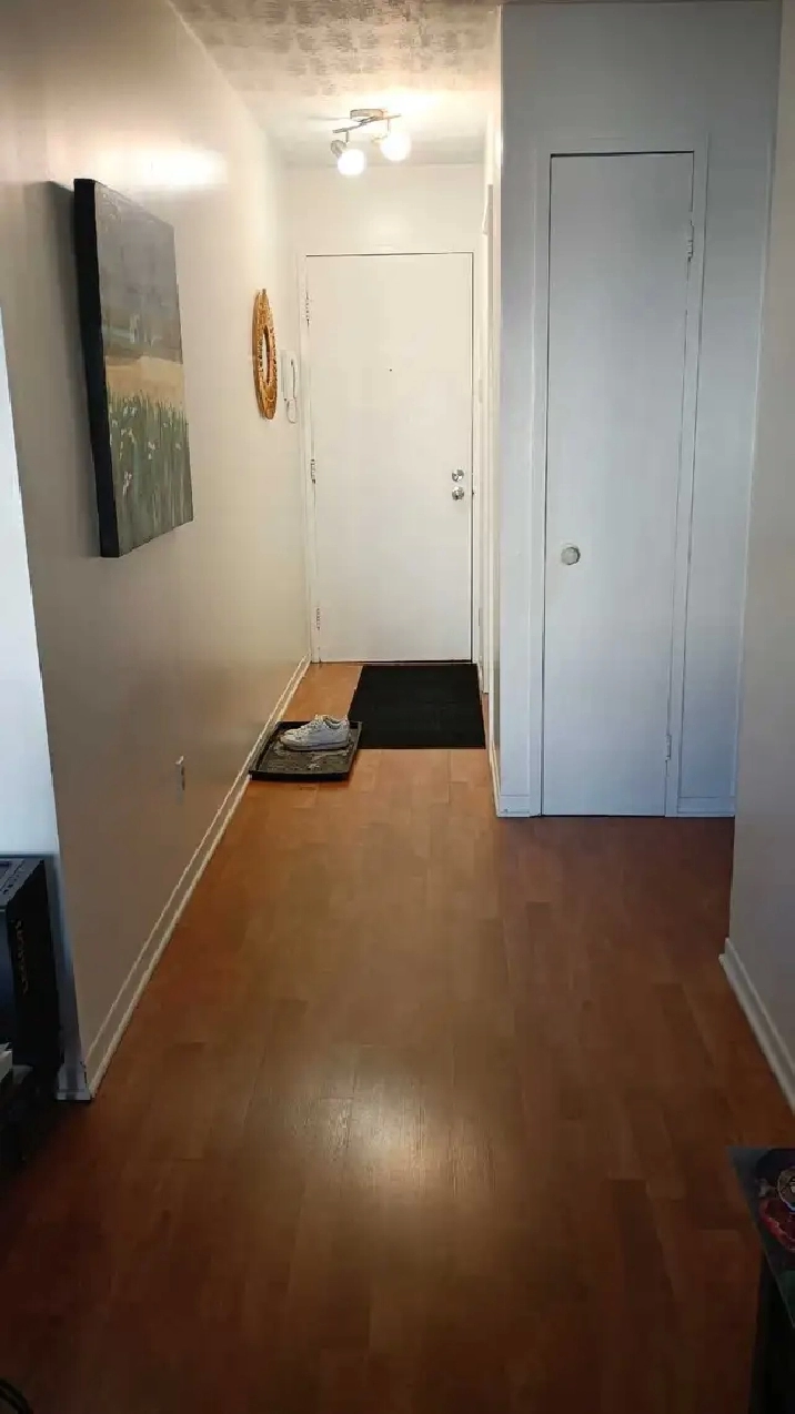 3 1/2 appartement