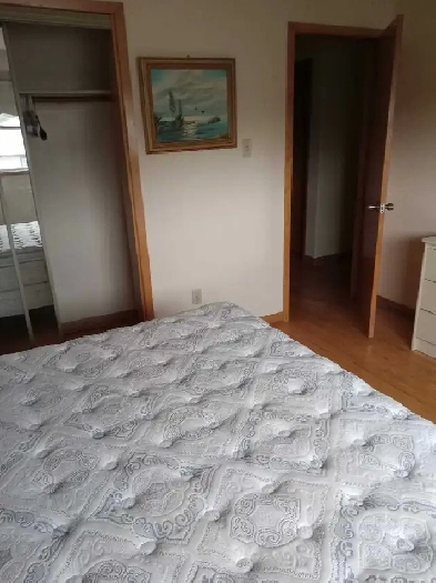 BEAUTIFUL LARGE BEDROOM