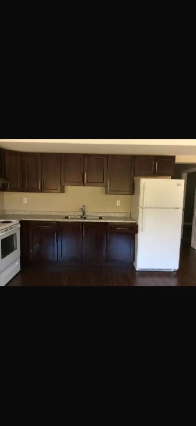 Three Bedroom Basement Suite