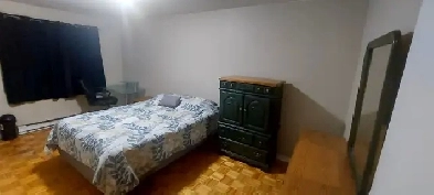 chambre à louer