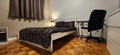 chambre à louer