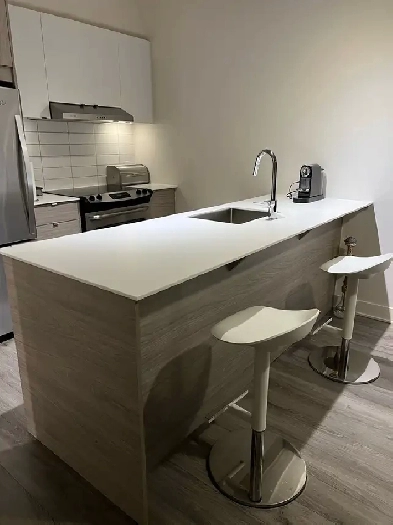 Downtown Montreal Penthouse for rent Furnished   Garage   Intrnt