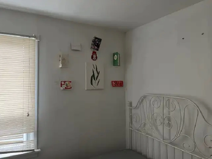 rooms for rent close to Downtown