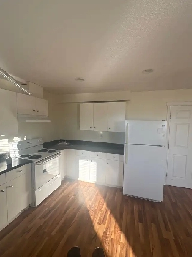 Basement for Rent