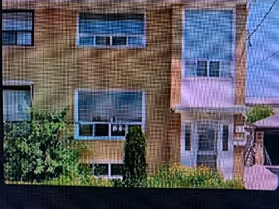 1 bedroom basement apartment  - $1,350 all inclusive