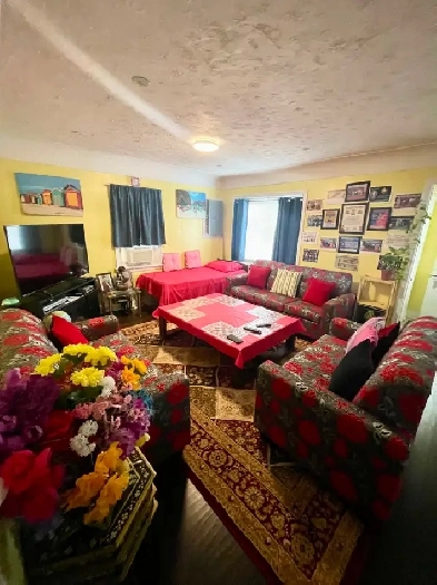Large 3 bdrm main floor Apt Niagarafalls