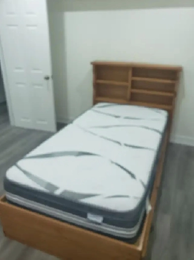 Room for rent near Humber collage