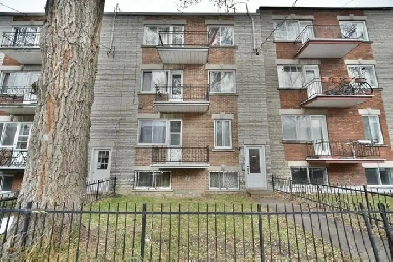 4 ½ à louer — Rosemont / près de Masson (Sous-sol)