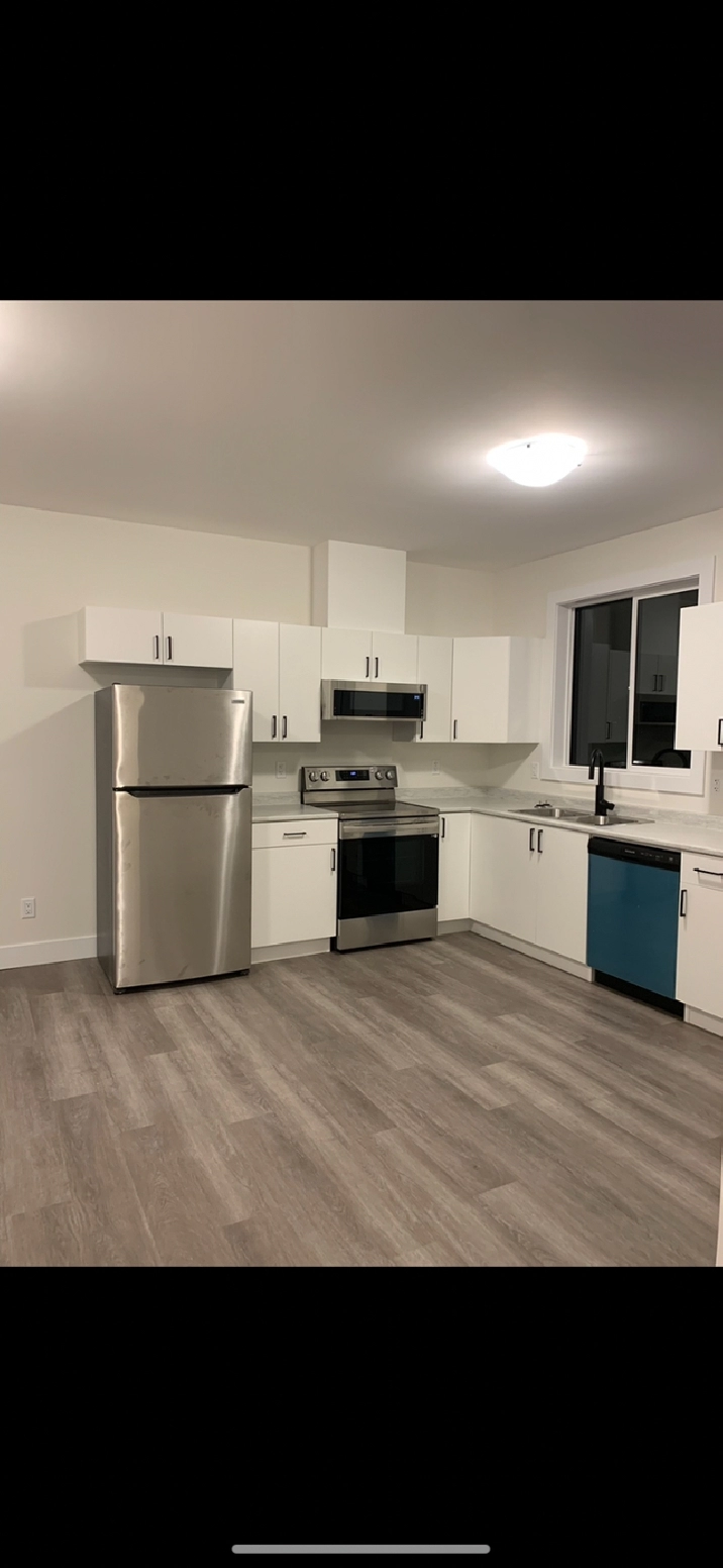 Private daylight suite 2 beds/1 bath private back yard