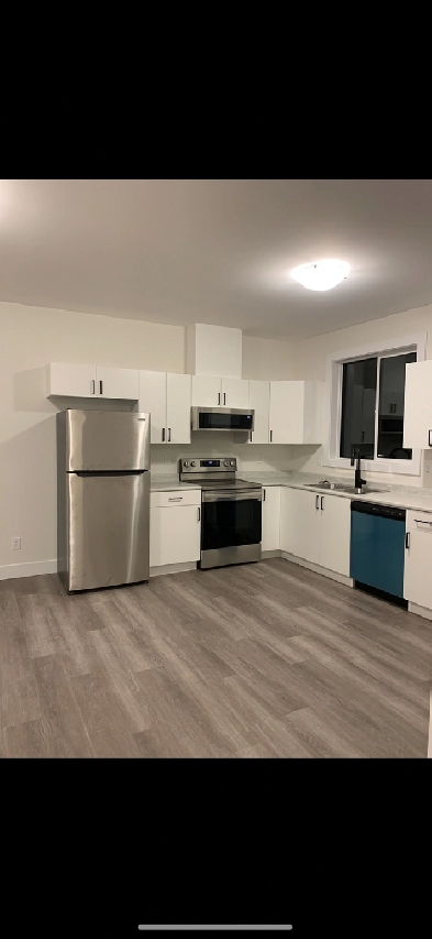Private daylight suite 2 beds/1 bath private back yard