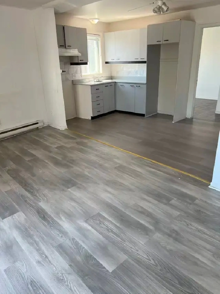 Grand 4 1 / 2, $1290/m, June 1，7721 Rue Lecourt (H1L3J6)