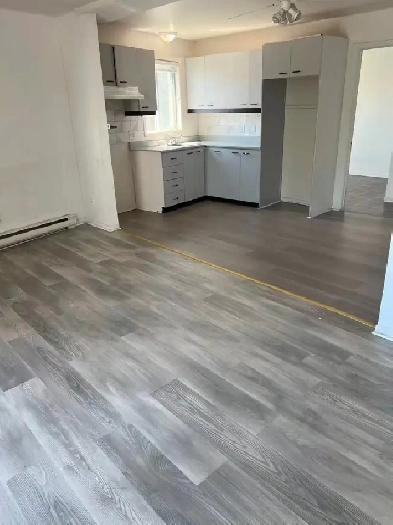Grand 4 1 / 2, $1290/m, June 1，7721 Rue Lecourt (H1L3J6)