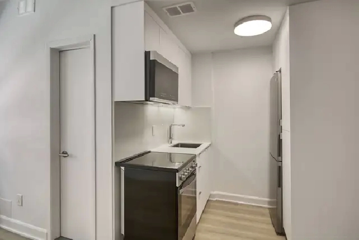 Renovated Studio apartment near blvd Saint-Laurent - ID 1452