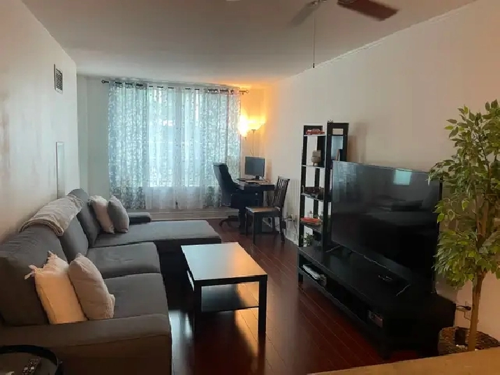 1 bedroom apartment is available for rent from July 1, 2026