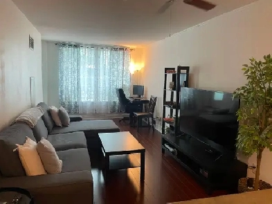 1 bedroom apartment is available for rent from July 1, 2026