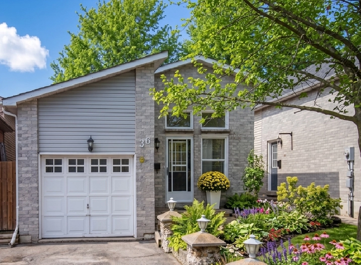 Full House Rental – 3 Bed, 2 Bath
