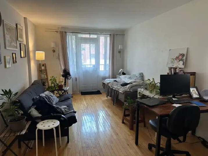 3 1/2 for rent near UdeM