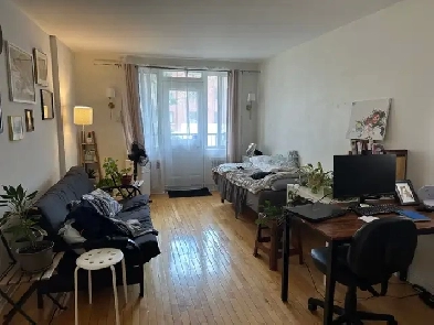 3 1/2 for rent near UdeM