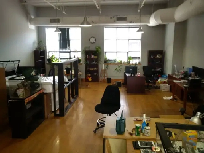 Photo 6
