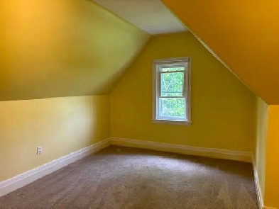 Beautiful Large 1 Bedroom Apartment With Treetop Views
