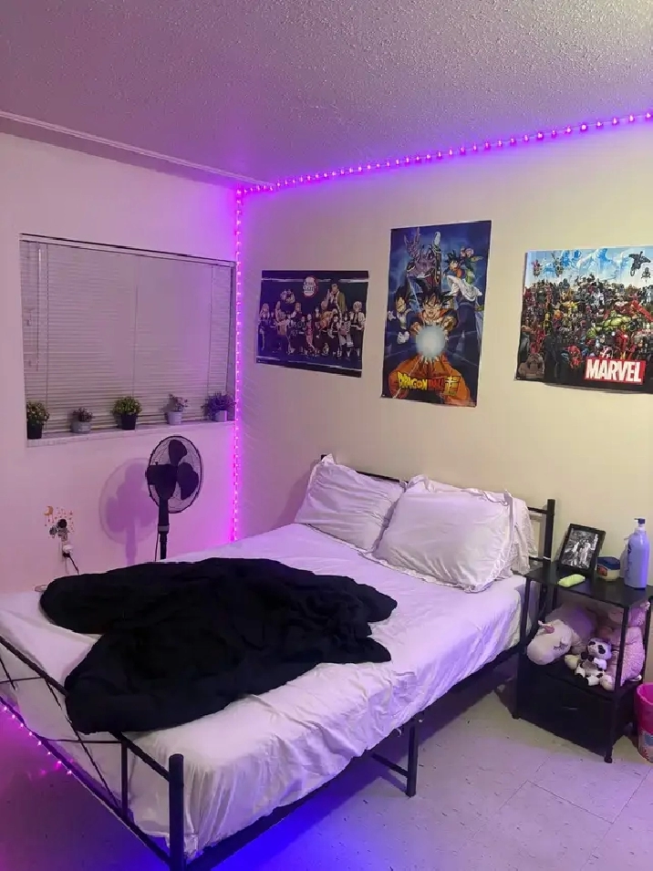July 1 Sublease- 1 Bedroom Apartment- $1052/month