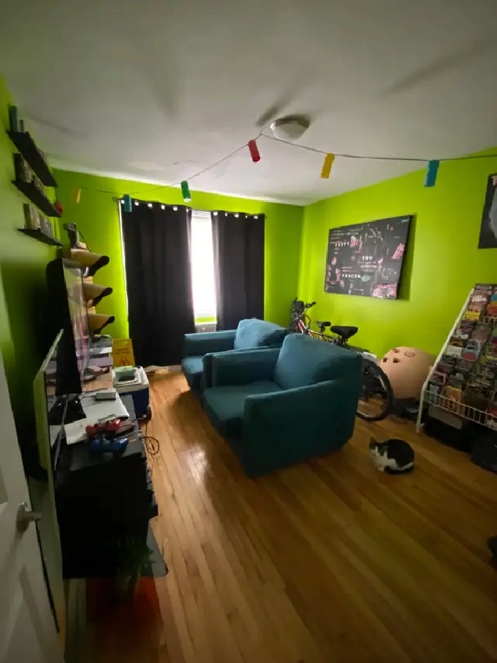 Photo 8