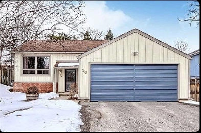 3 Bedroom Bungalow in Holland Landing with private backyard