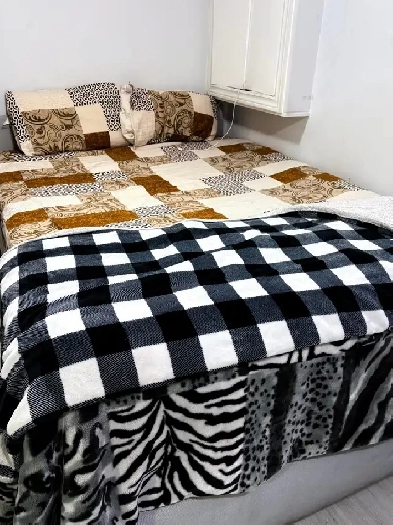 Furnished basement for rent - Scarborough