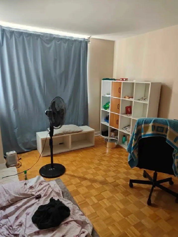 room for rent near Seneca college