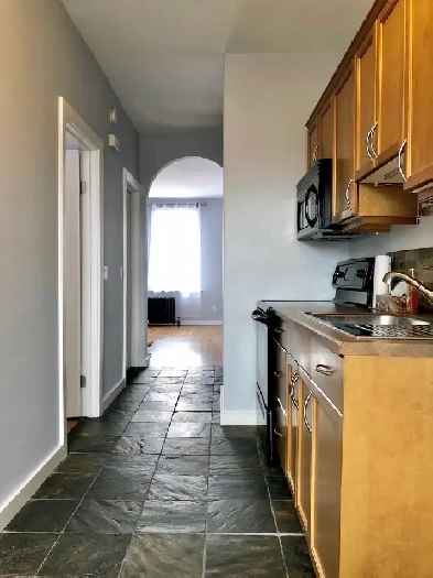 1 Bedroom 1 Bathroom in Beautiful West Broadway